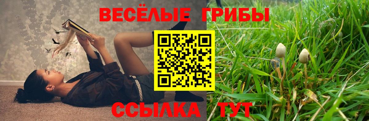 Псилоцибиновые грибы Cubensis  Вход с VPN  Ахтубинск  Галлюциногенные грибы MAGIC MUSHROOMS 